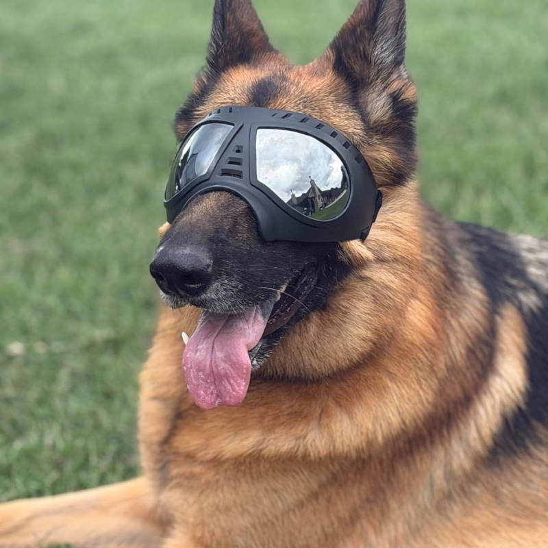 Pet Glasses for medium large-s - огляд і ціна Sunglass Retainer Cord