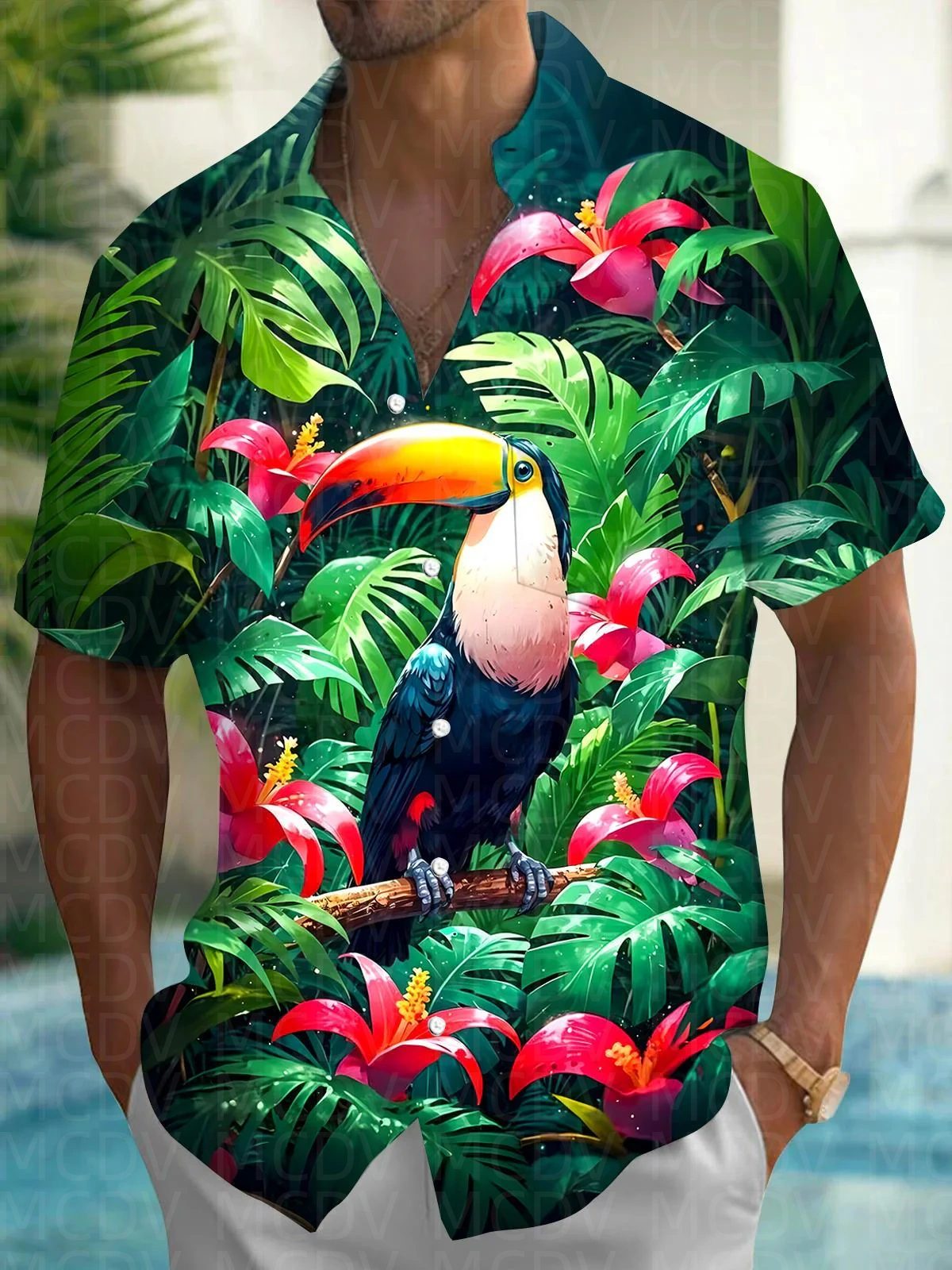 Balloon Pattern Men's Hawaiian - огляд і ціна Shirt Camp Collar