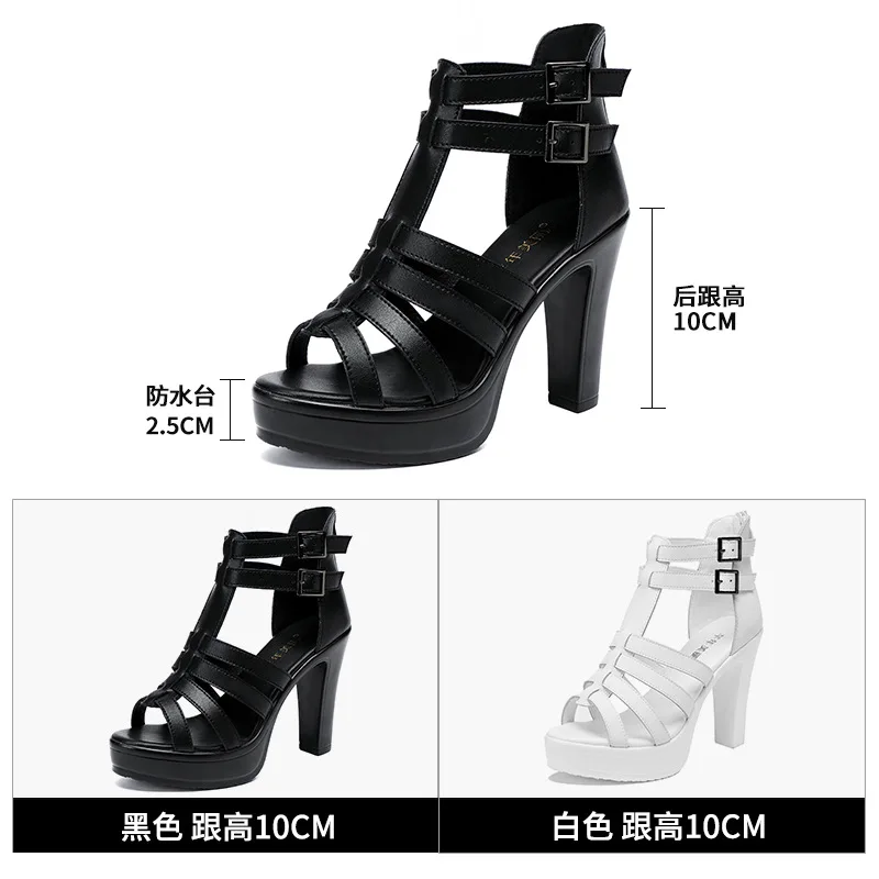 Gladiator Ladies Shoe for Wome - огляд і ціна Casual Sandal Leather